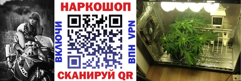 Как найти закладки Цивильск Псилоцибиновые грибы Меф NBOMe ГАШИШ Кокаин Конопля СК
