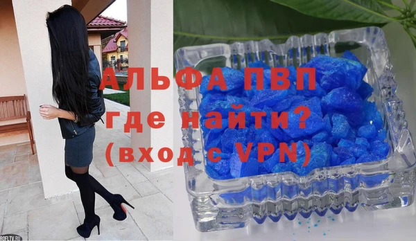 стаф Михайловск