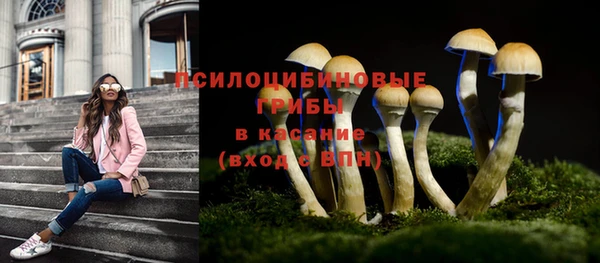 стаф Михайловск