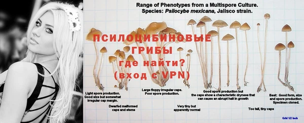 первитин Михайловка