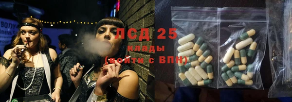 стаф Михайловск